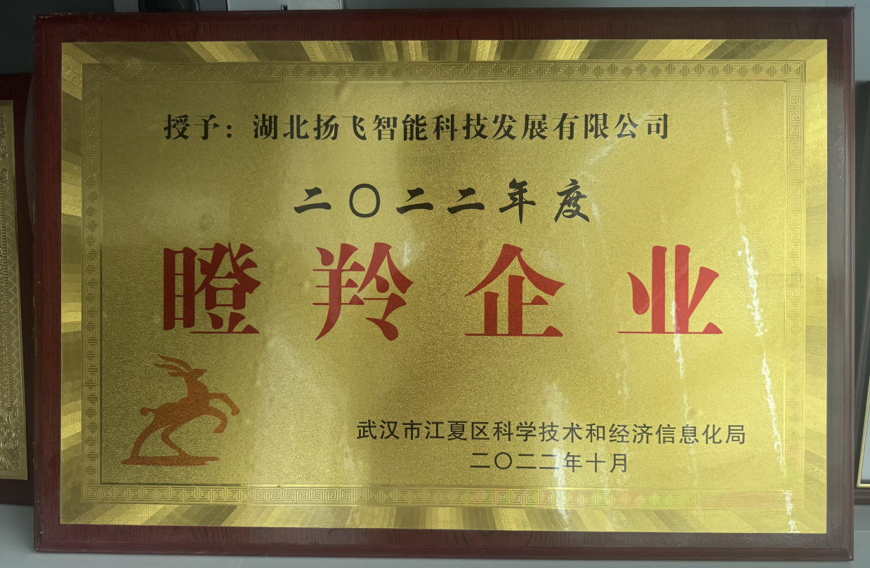 瞪羚企业